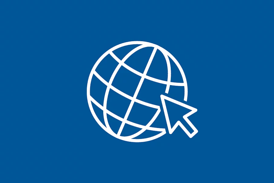 This FES icon depicts a stylised globe to represent internet connections or websites.